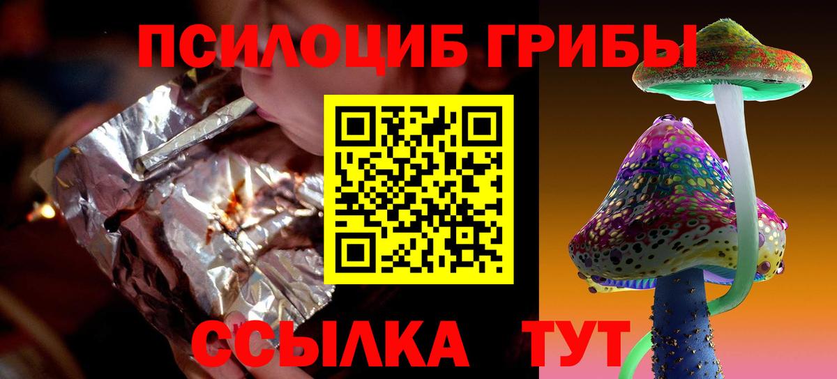Корсаков  Псилоцибиновые грибы Cubensis  Вход с VPN  Псилоцибиновые грибы Psilocybine cubensis 