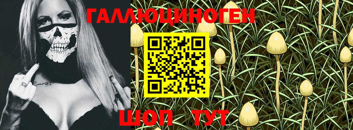 Галлюциногенные грибы Psilocybe Корсаков